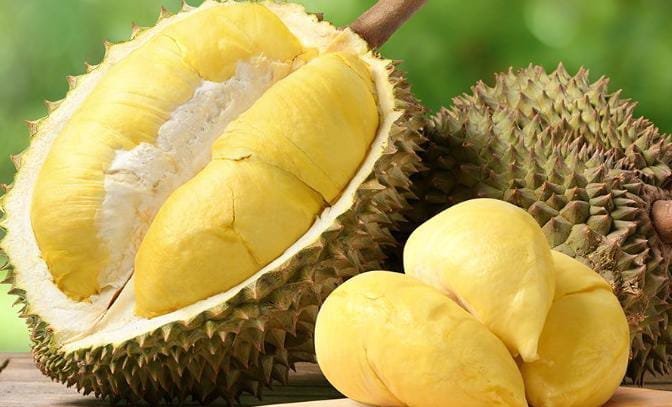 perbandingan rasa durian